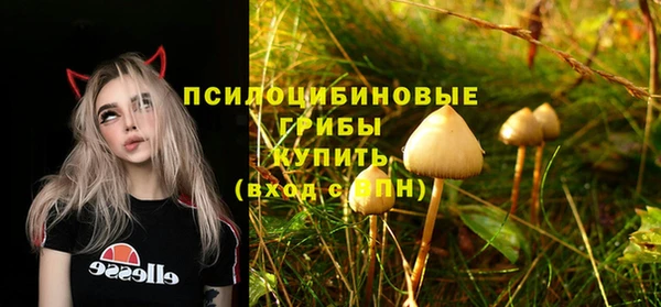 кокс Алексеевка