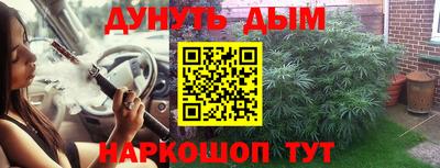 дживик Тара