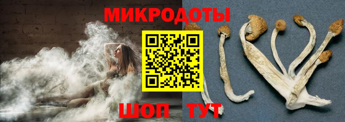 Галлюциногенные грибы прущие грибы Полевской