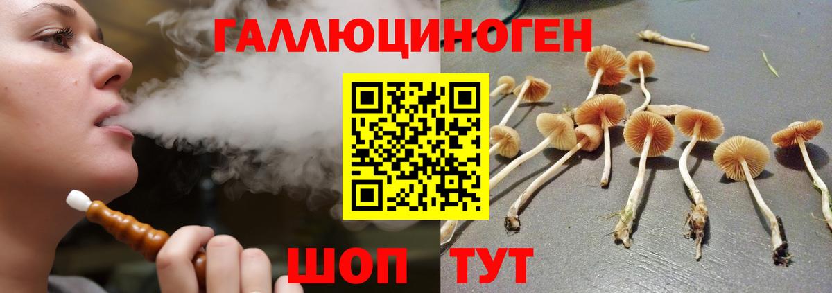 Галлюциногенные грибы GOLDEN TEACHER  Вход с VPN  Полевской 